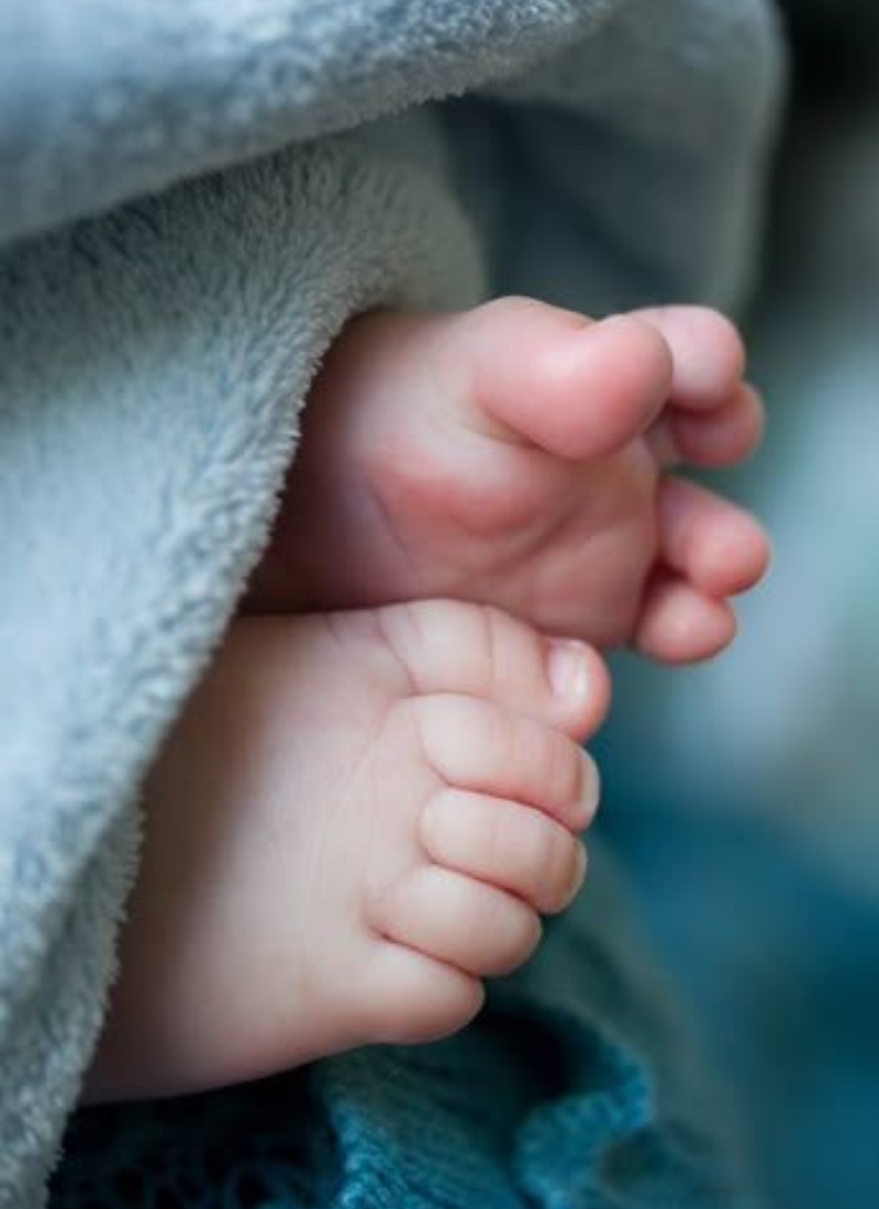 Untitled design - 2026-03-11T130336.205